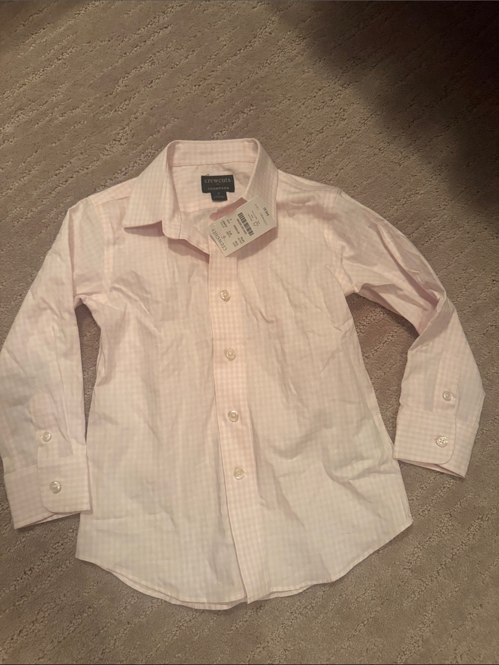 Crewcuts Light Pink Gingham Button-Down Shirt